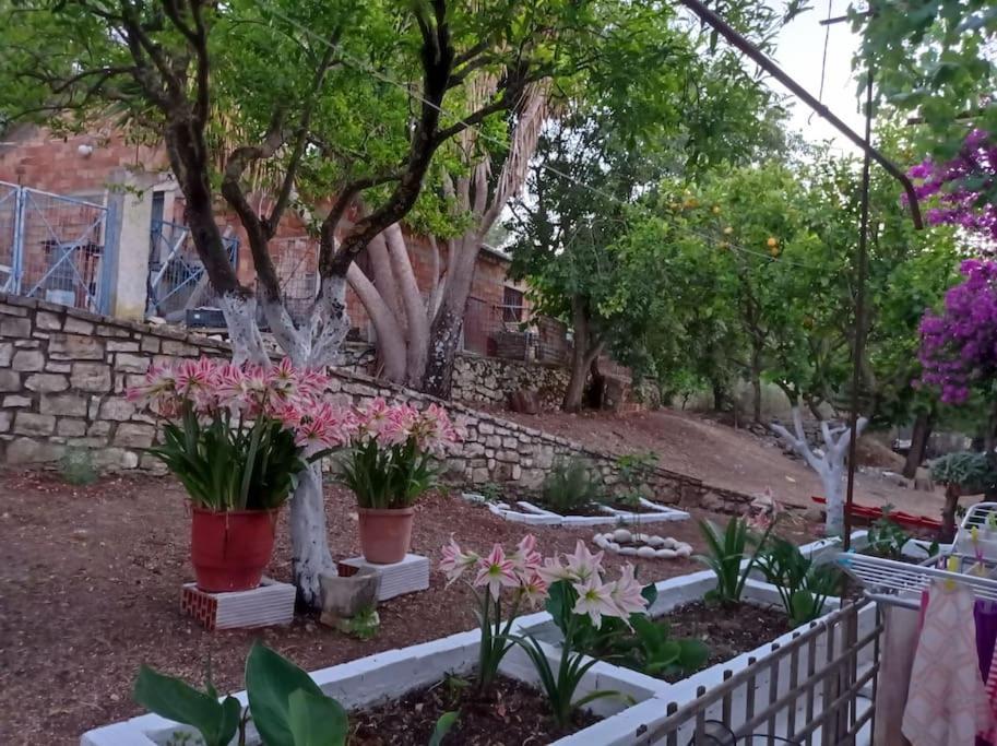 Villa Lidi Stavros  Exteriér fotografie