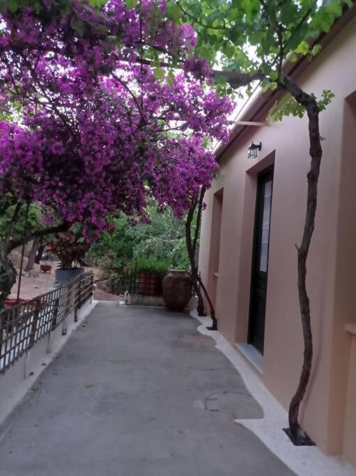 Villa Lidi Stavros  Exteriér fotografie