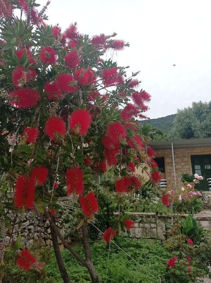 Villa Lidi Stavros  Exteriér fotografie