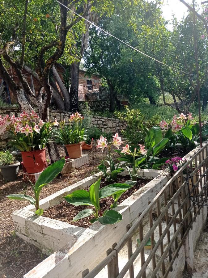 Villa Lidi Stavros  Exteriér fotografie